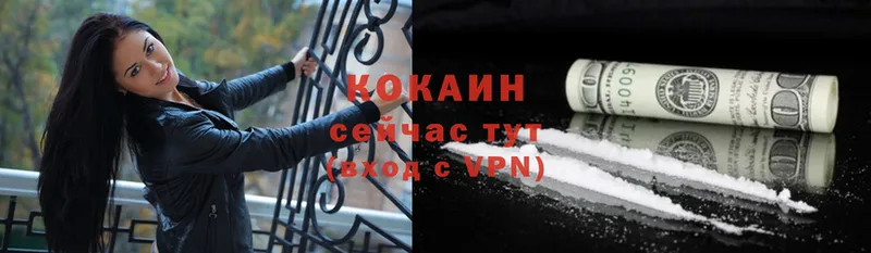 Cocaine Колумбийский  купить наркоту  Вязьма 